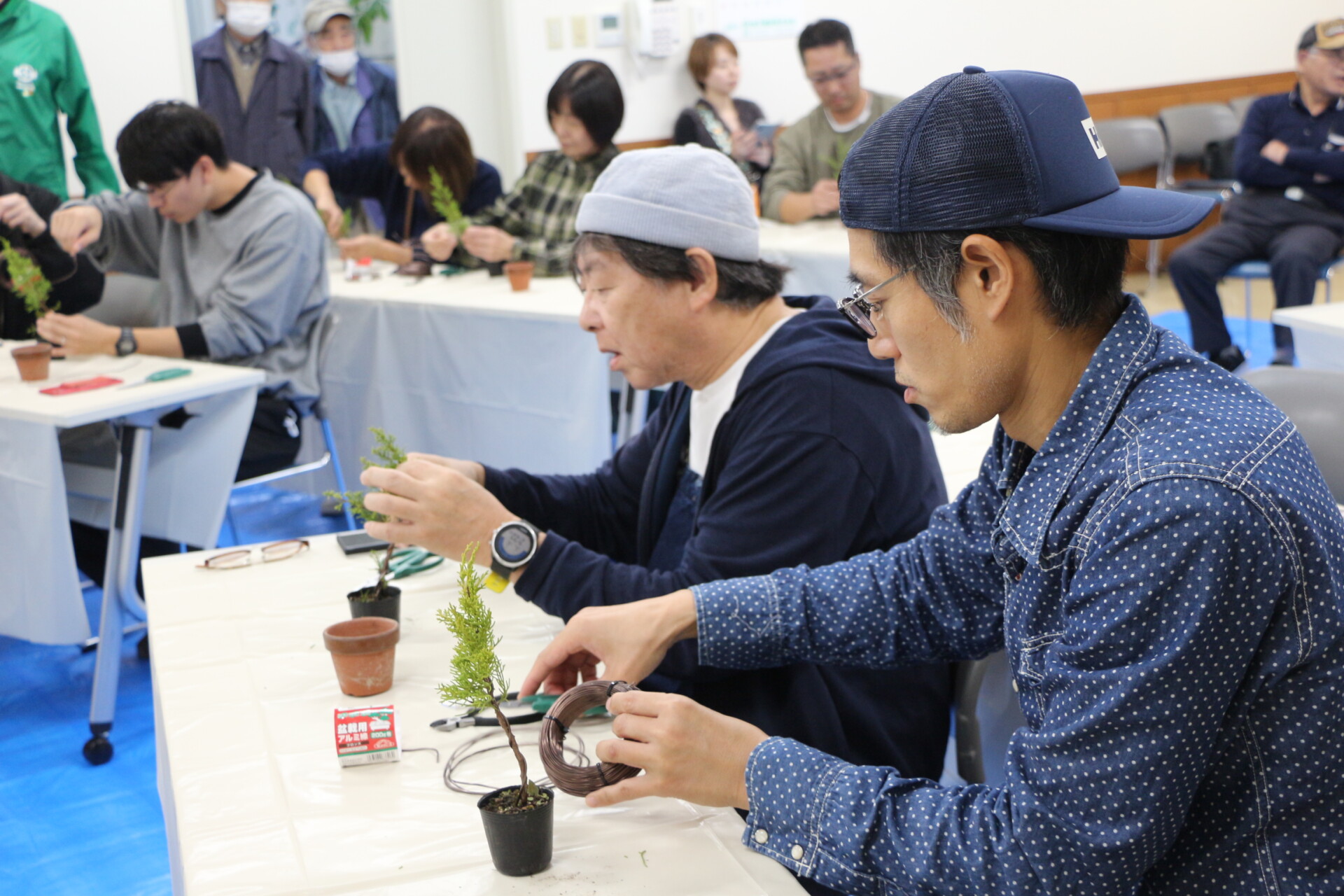 5/8 – 6/26 Call for Itoigawa Shimpaku Supporters