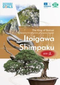 shimpaku_panf_en