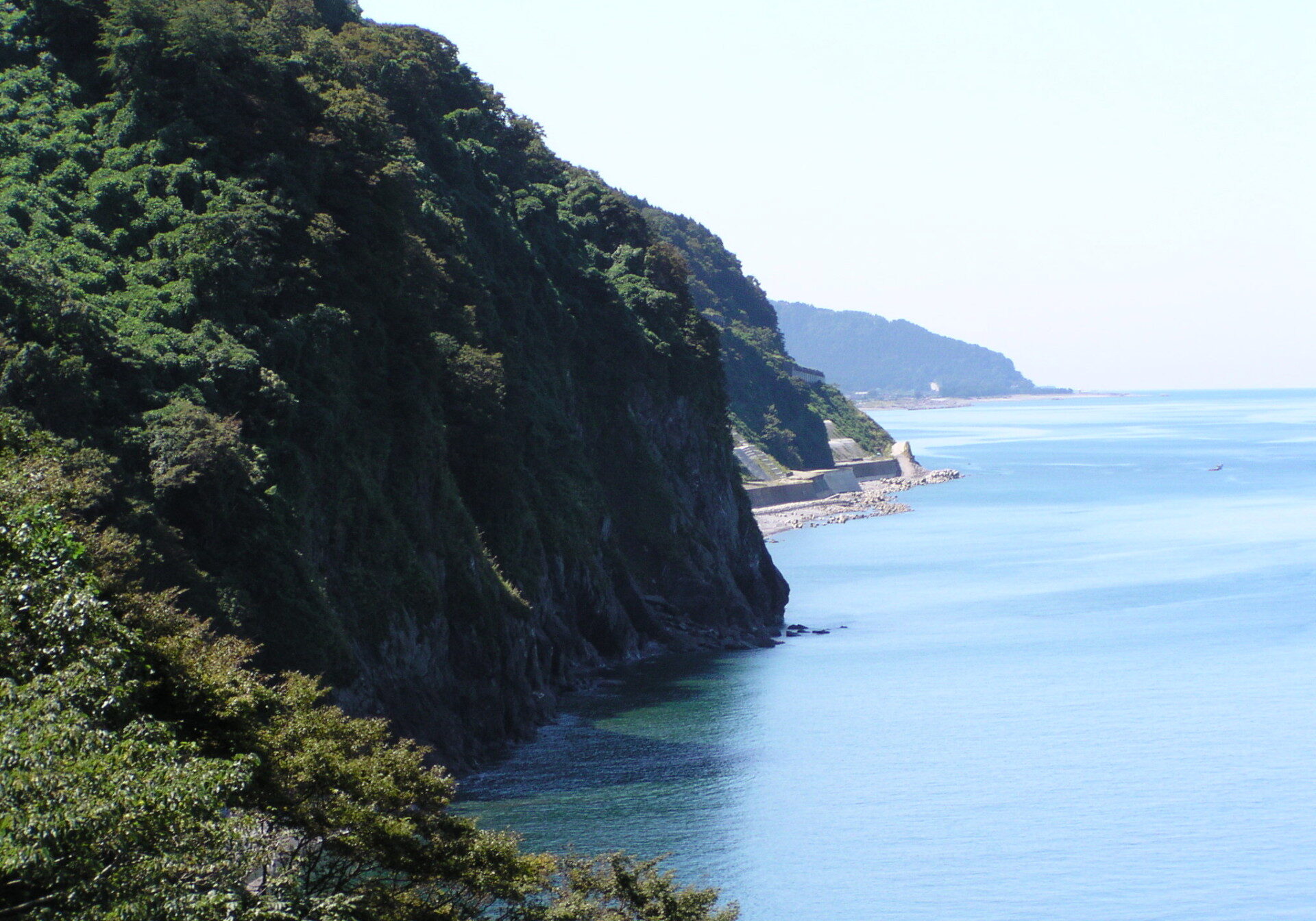 img020.jpg