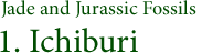 1. Ichiburi - Jade and Jurassic Fossils