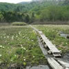 Heimanotaira Wetlands
