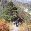 Renge Nature Trail