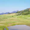 Terraced Rice Fields