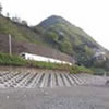 JR Hokuriku Line and Mt. Katsuyama