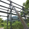 Avalanche Protection Fences