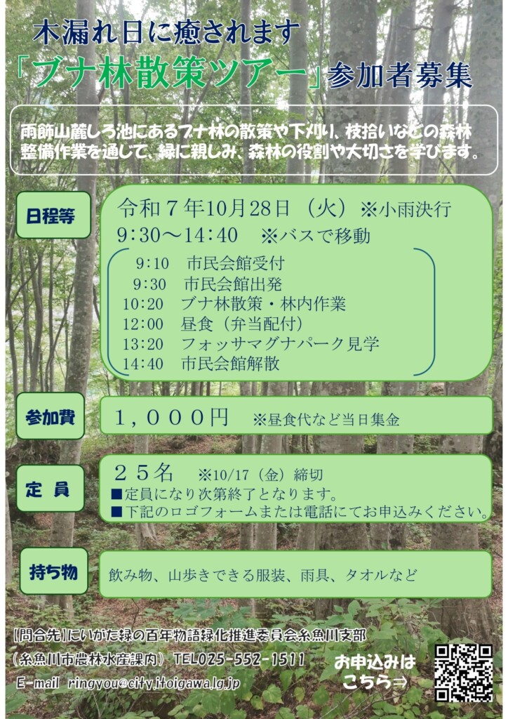 ブナ林散策ツアー