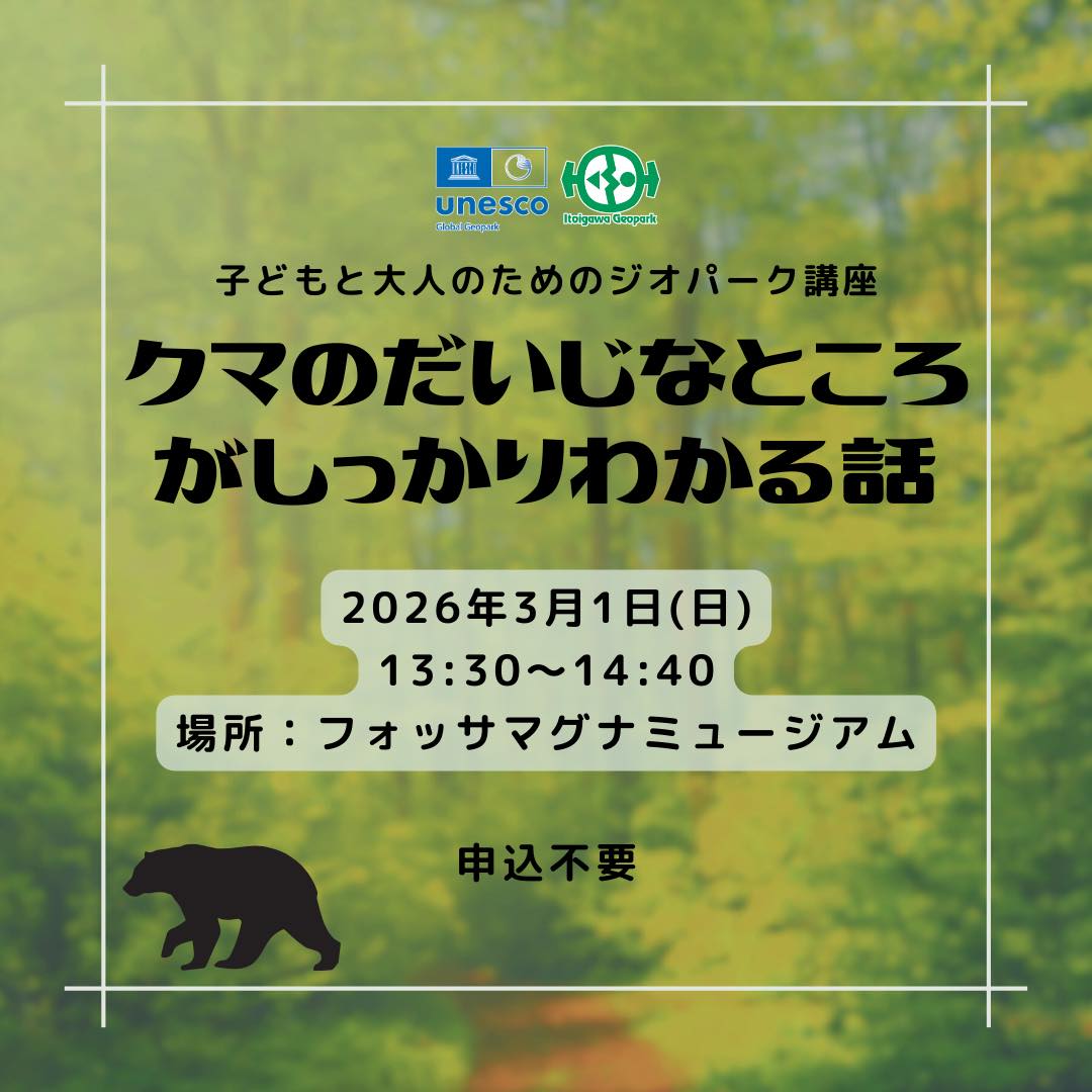 3/1 クマのだいじなところがしっかりわかる話