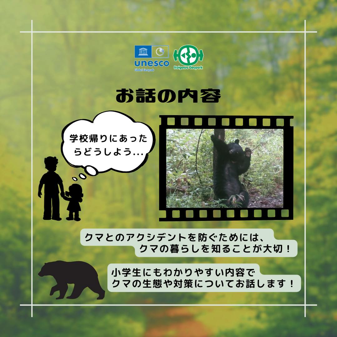 クマのだいじなところがしっかりわかる話　内容