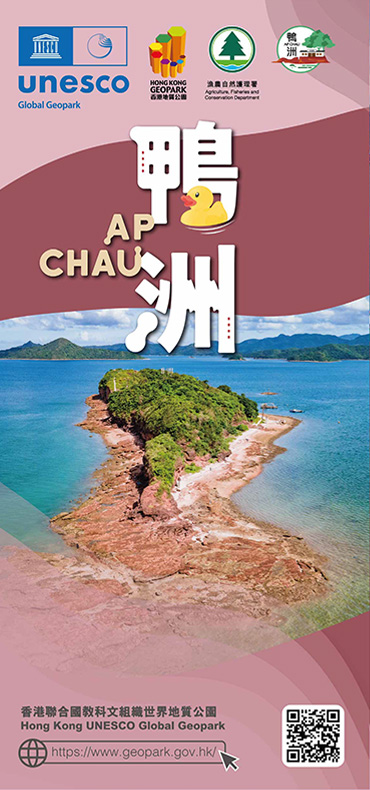 Ap Chau（鴨洲）について
