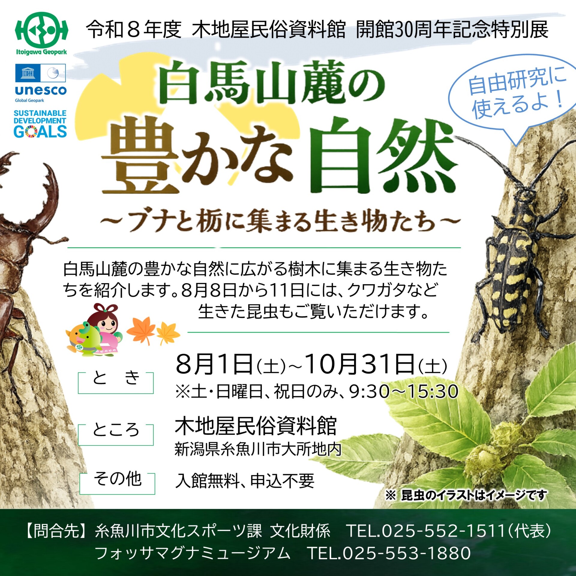 【特別展】白馬山麓の豊かな自然 – ブナと栃に集まる生き物たち