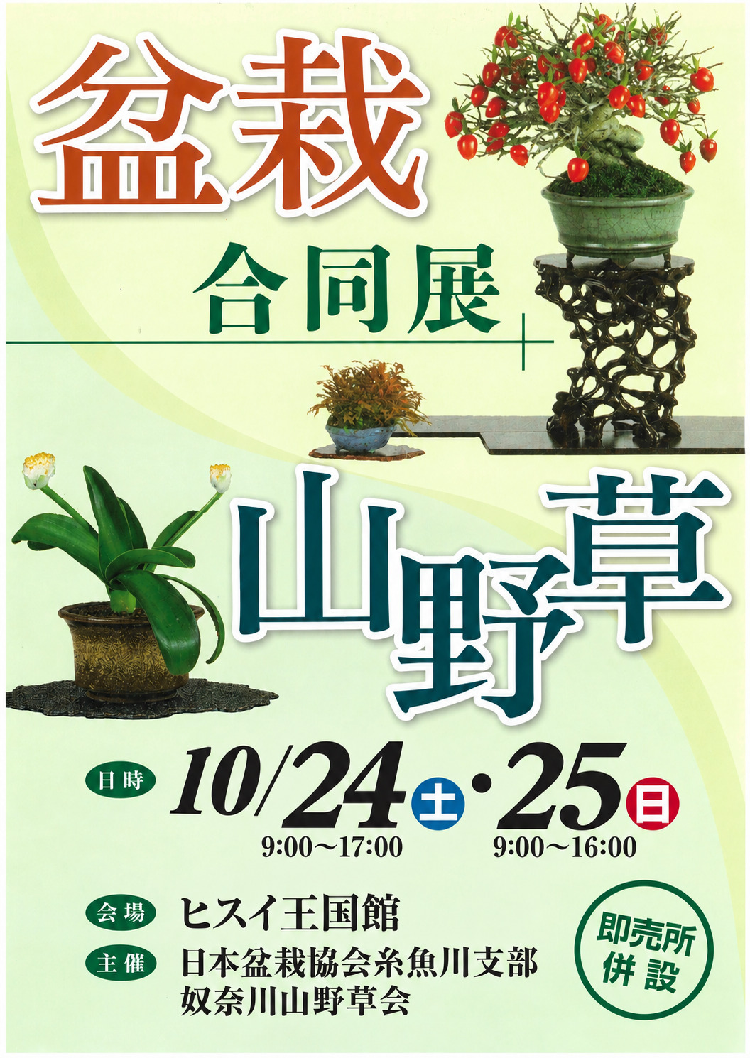 2026_山野草