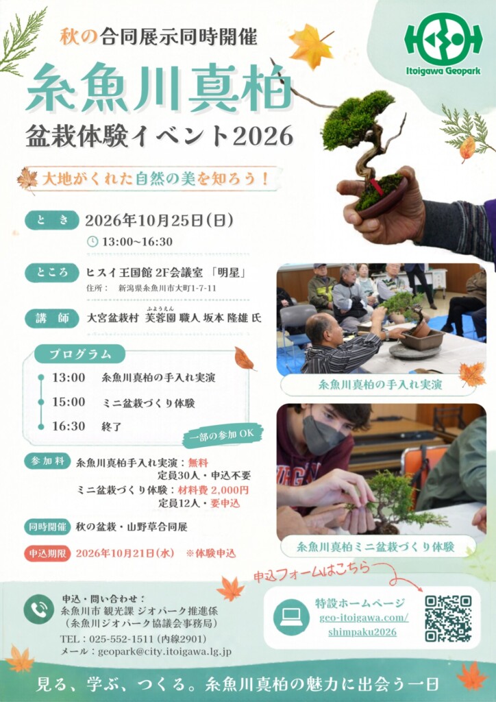 糸魚川真柏体験イベント2026チラシ