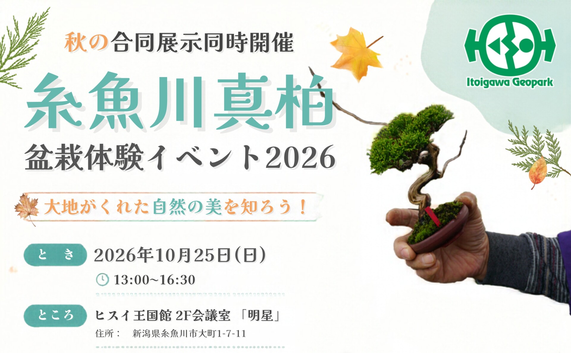 10/25 糸魚川真柏盆栽体験イベント